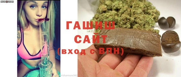 амф Гусев