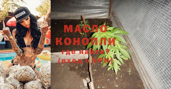 молекула духа Горнозаводск
