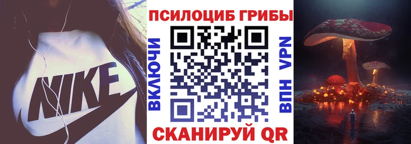 Псилоцибиновые грибы Cubensis Заринск