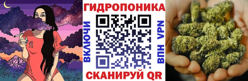 Конопля ГИДРОПОН  Заринск 